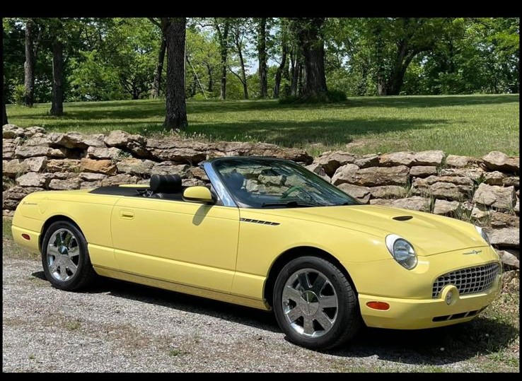 Thunderbird - View 5